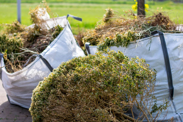 Best Shed Removal  in Taft, FL
